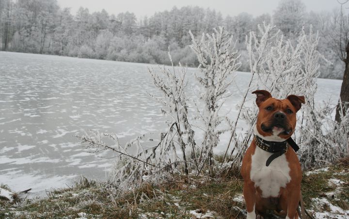 no dobře dneska se koupat nebudu....